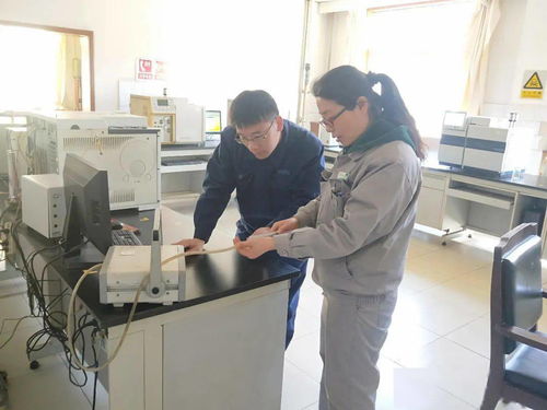 千里保試車 巾幗競風流 記公司最美女工 義馬氣化廠外派技術服務人員 王輝